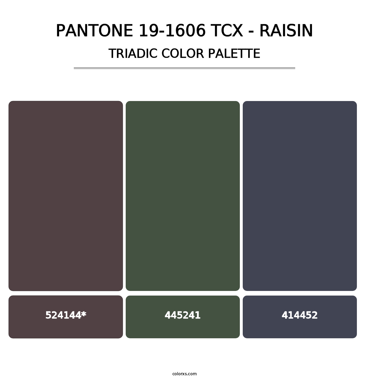 PANTONE 19-1606 TCX - Raisin - Triadic Color Palette