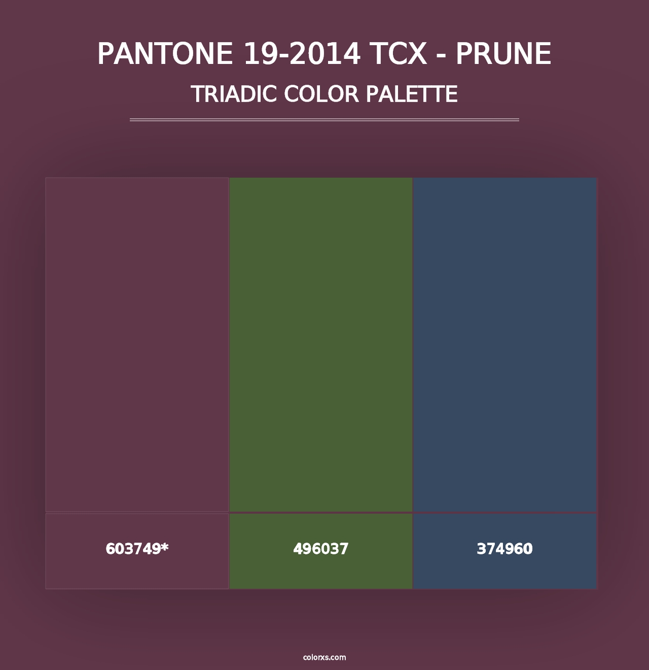 PANTONE 19-2014 TCX - Prune - Triadic Color Palette