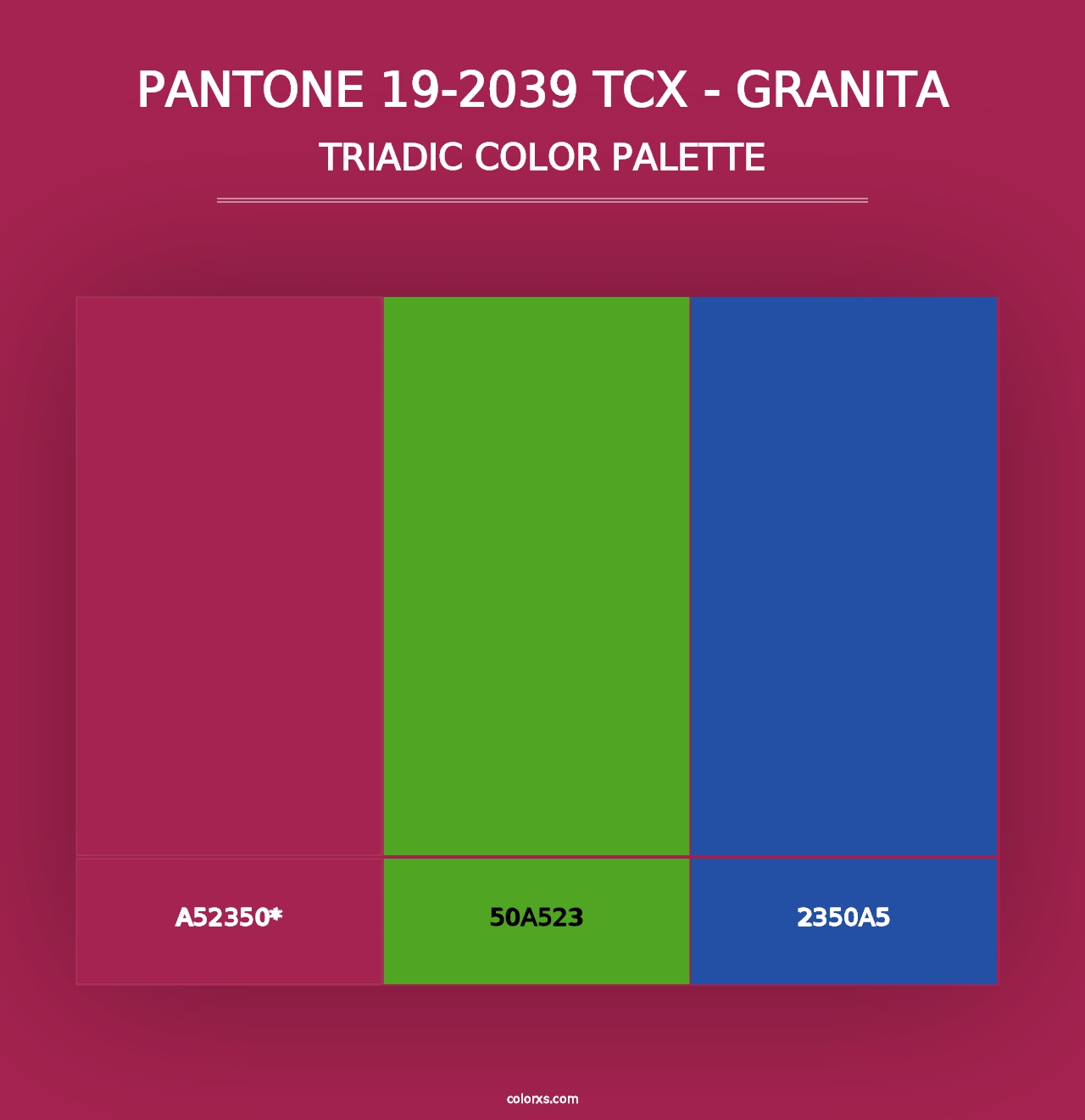 PANTONE 19-2039 TCX - Granita - Triadic Color Palette