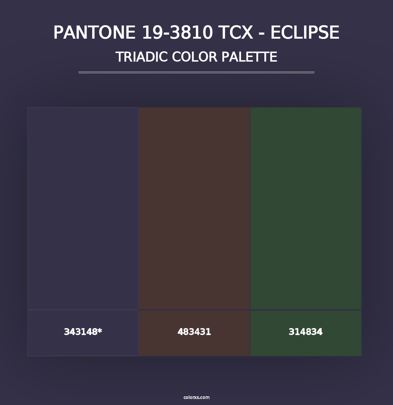 PANTONE 19-3810 TCX - Eclipse - Triadic Color Palette