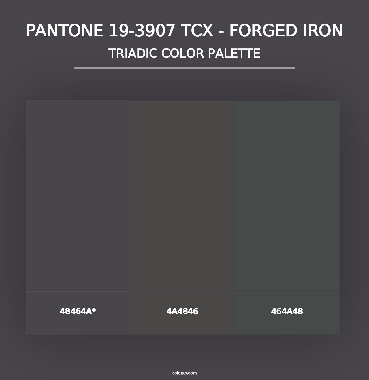 PANTONE 19-3907 TCX - Forged Iron - Triadic Color Palette