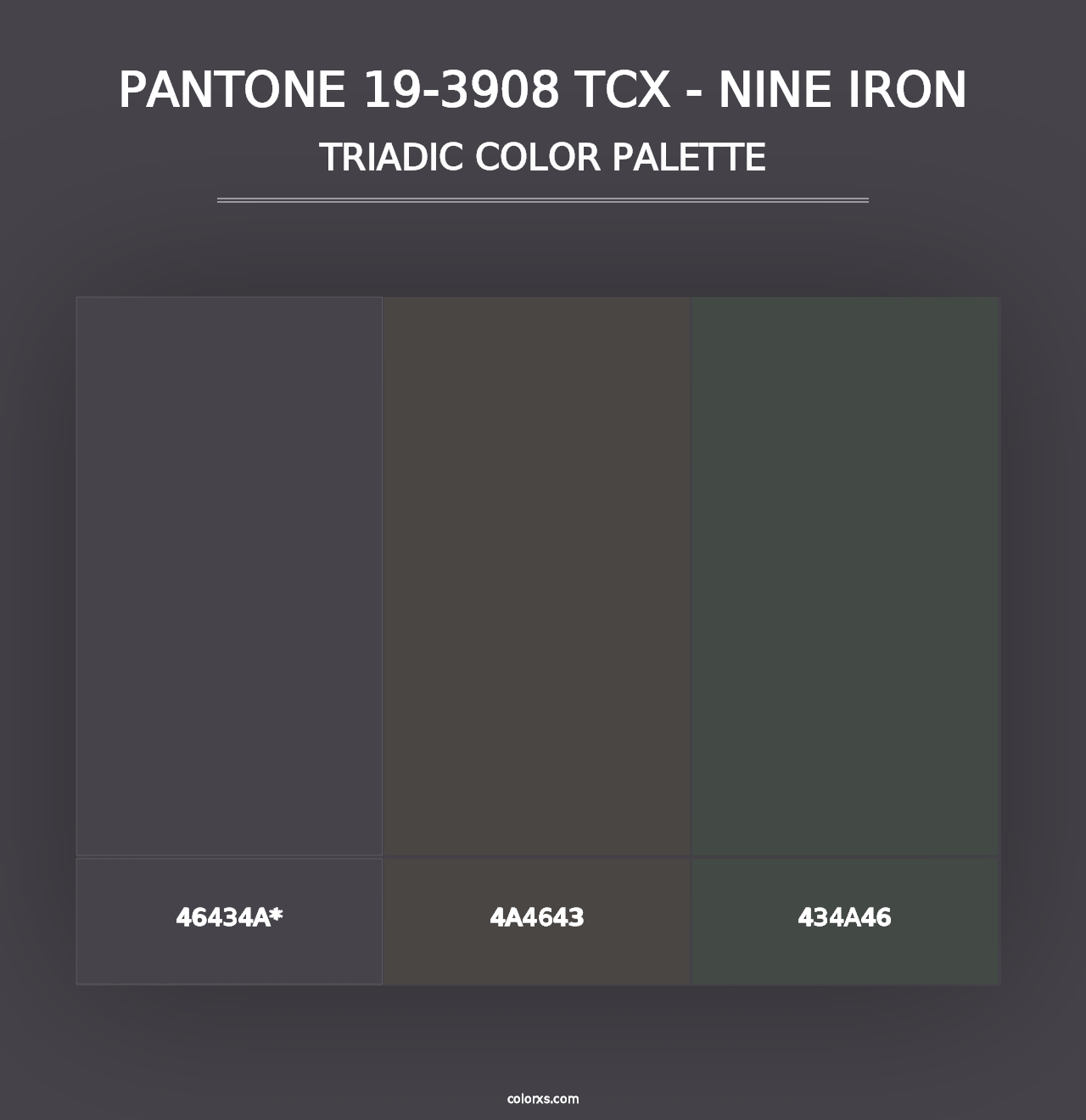 PANTONE 19-3908 TCX - Nine Iron - Triadic Color Palette