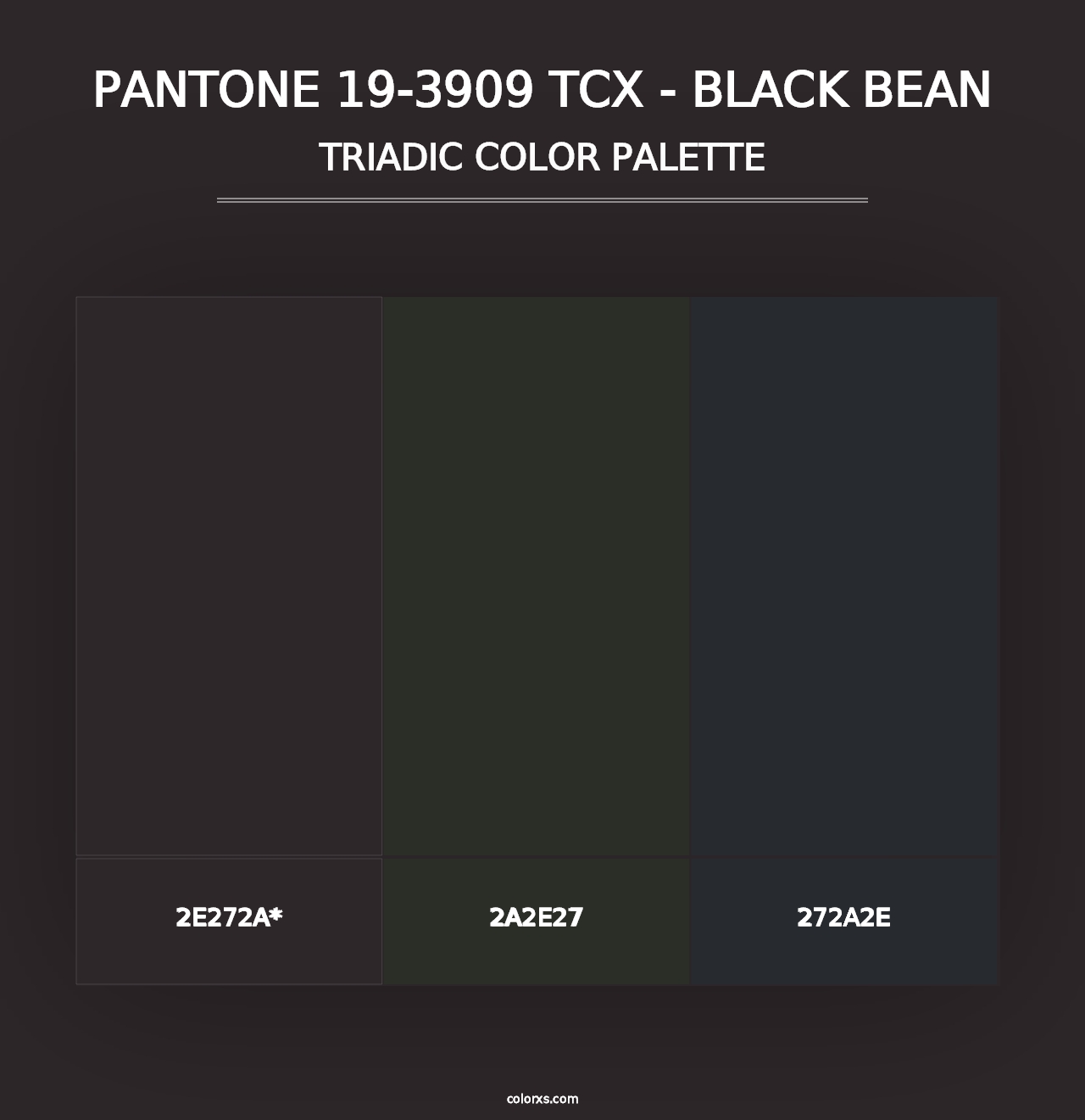 PANTONE 19-3909 TCX - Black Bean - Triadic Color Palette