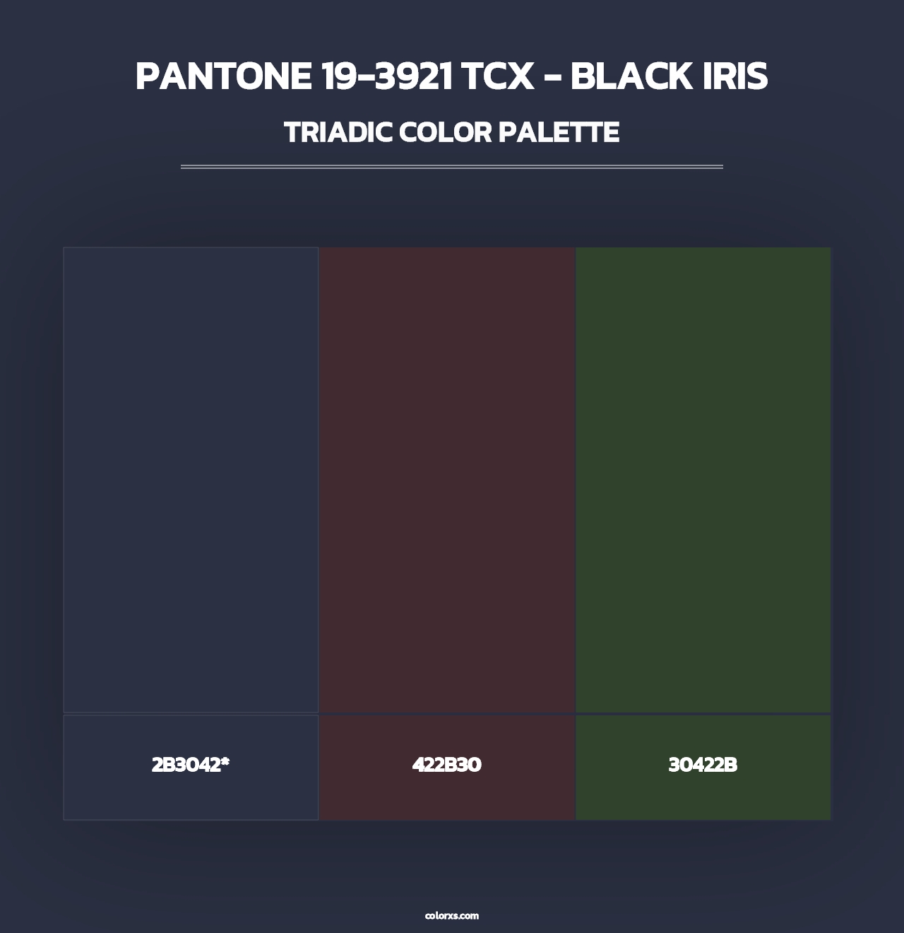 PANTONE 19-3921 TCX - Black Iris - Triadic Color Palette