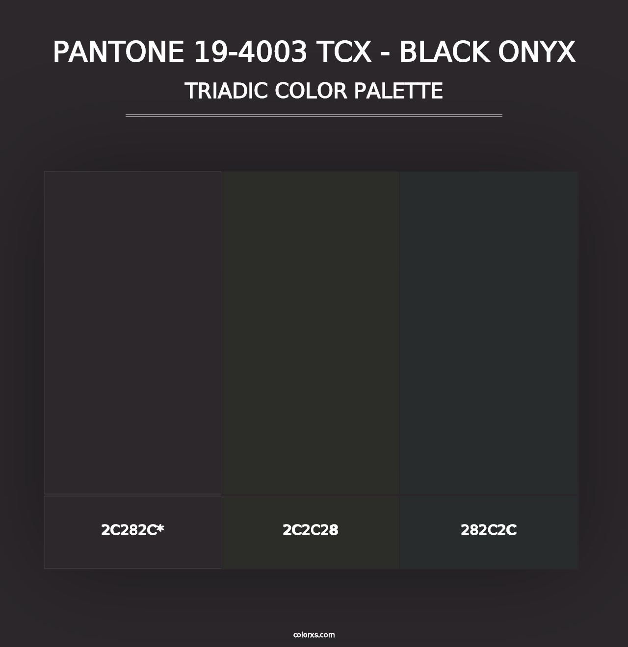 PANTONE 19-4003 TCX - Black Onyx - Triadic Color Palette