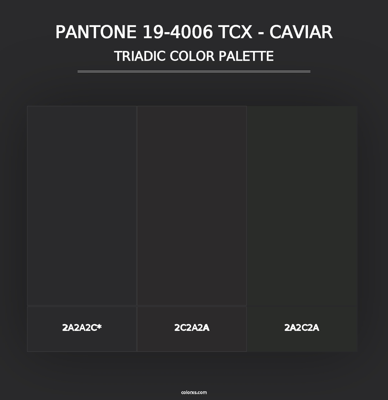 PANTONE 19-4006 TCX - Caviar - Triadic Color Palette