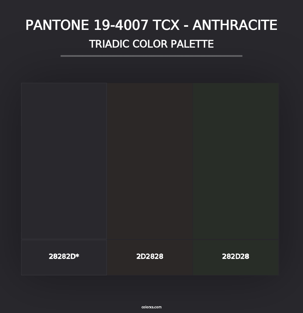 PANTONE 19-4007 TCX - Anthracite - Triadic Color Palette