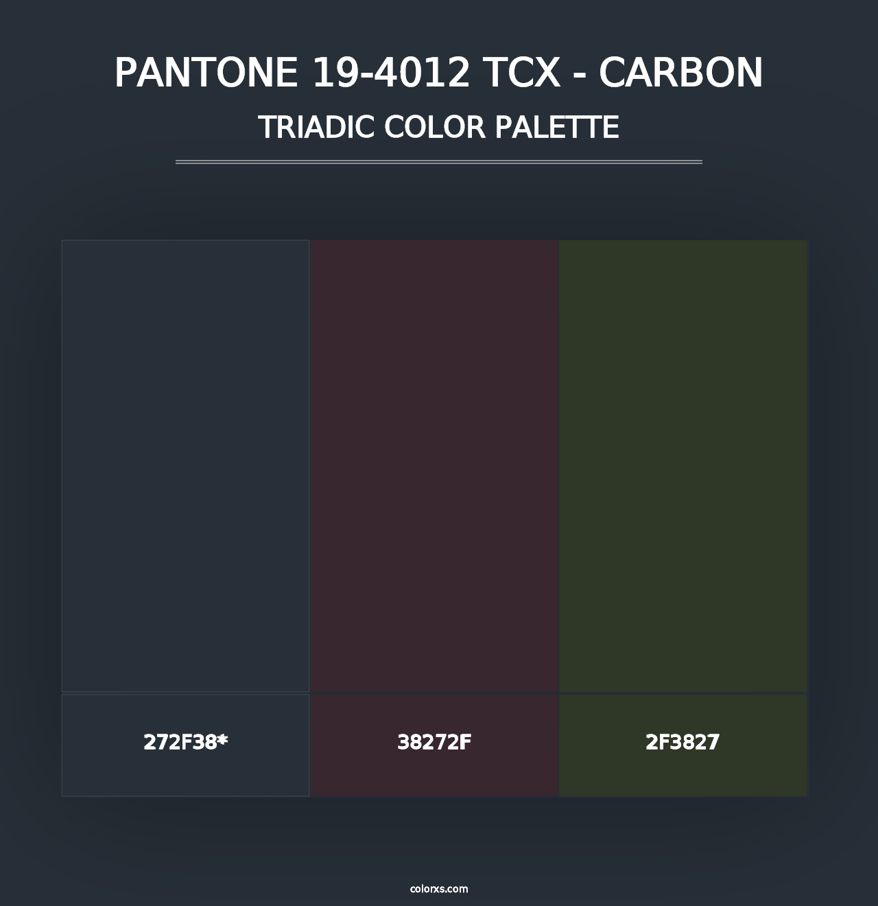 PANTONE 19-4012 TCX - Carbon - Triadic Color Palette