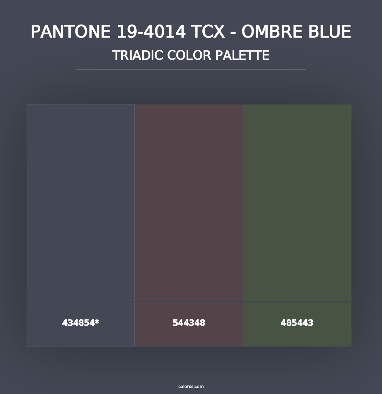 PANTONE 19-4014 TCX - Ombre Blue - Triadic Color Palette