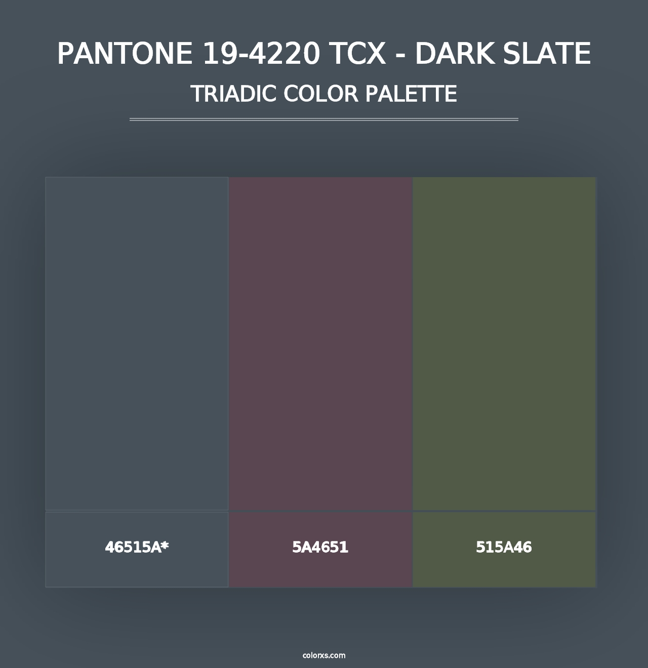 PANTONE 19-4220 TCX - Dark Slate - Triadic Color Palette