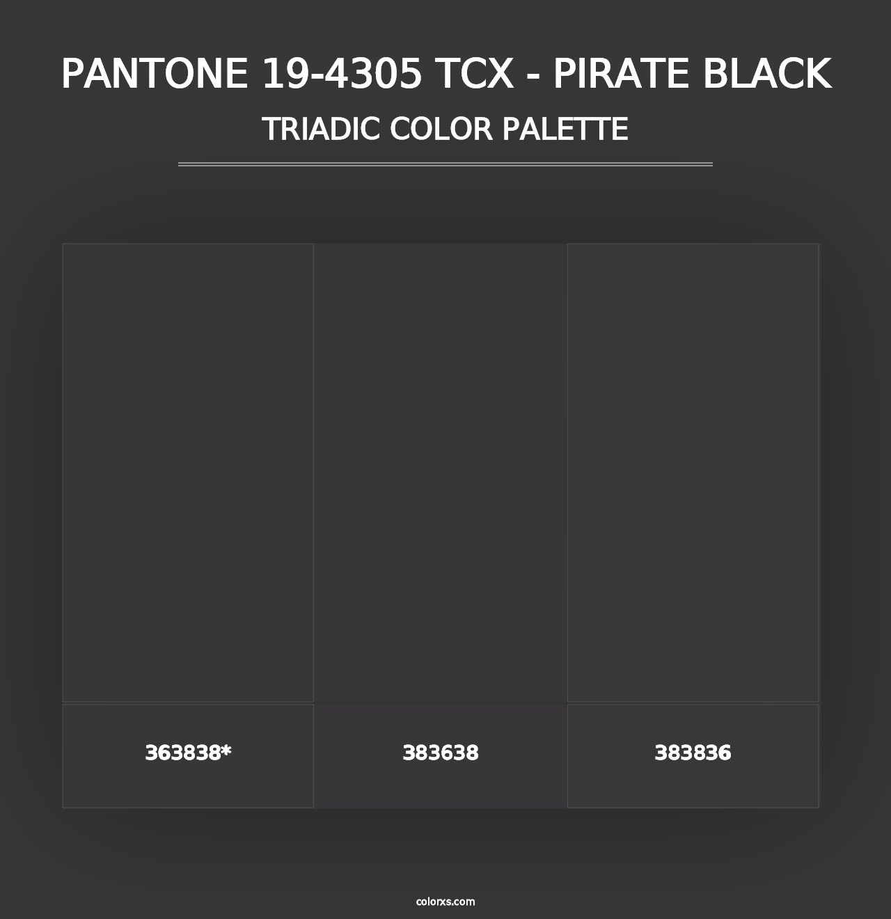 PANTONE 19-4305 TCX - Pirate Black - Triadic Color Palette