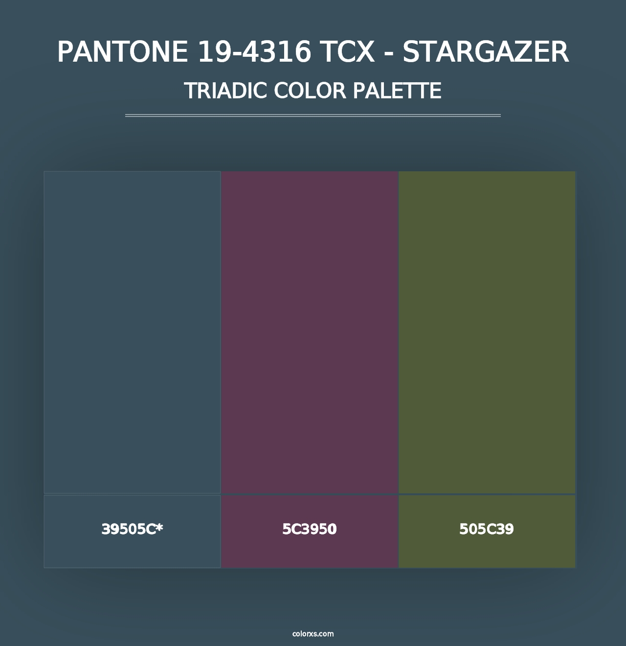 PANTONE 19-4316 TCX - Stargazer - Triadic Color Palette