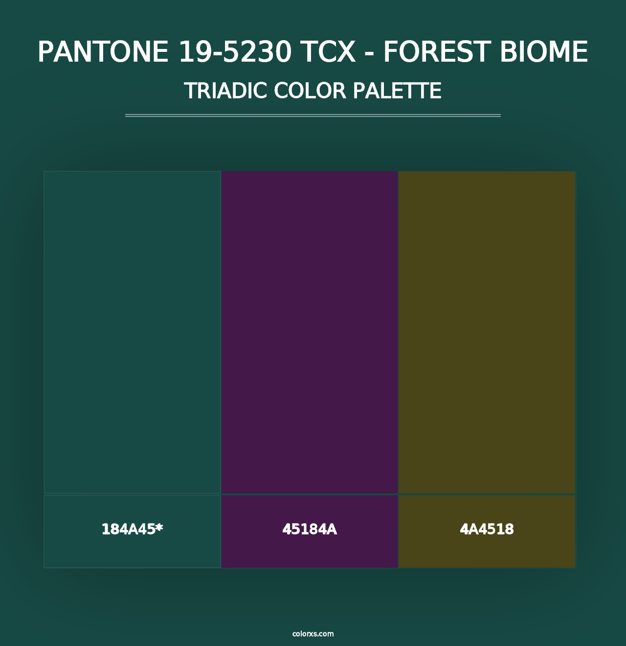 PANTONE 19-5230 TCX - Forest Biome - Triadic Color Palette