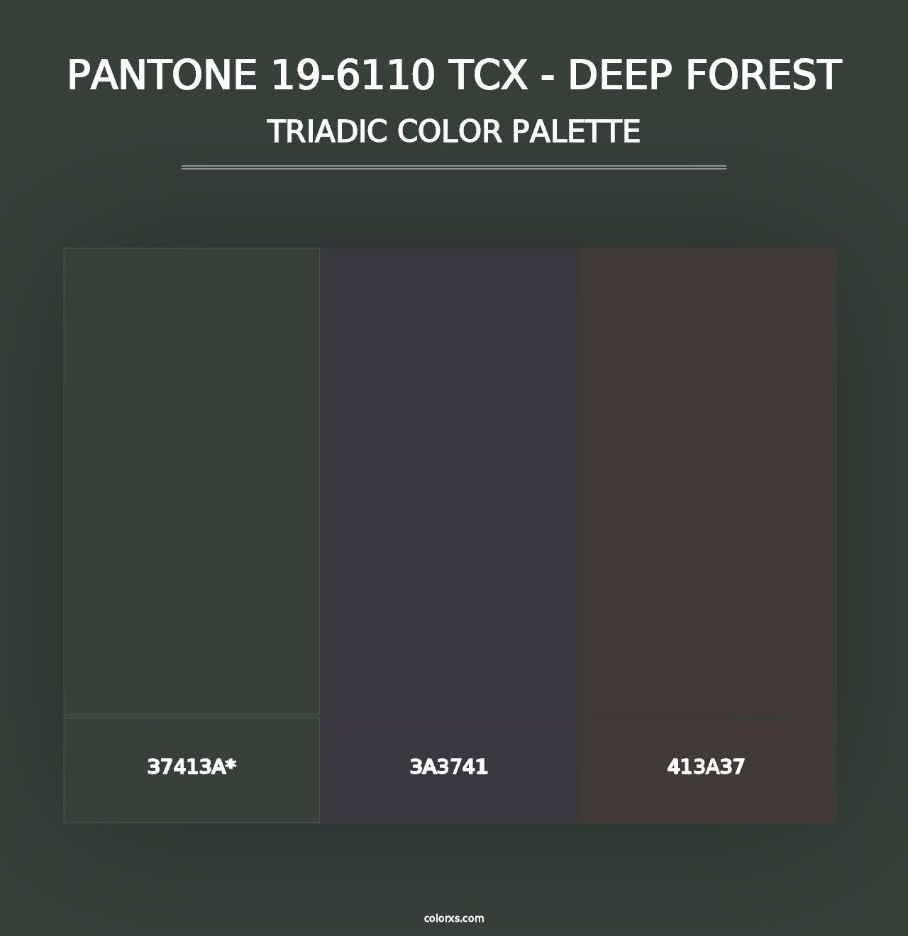 PANTONE 19-6110 TCX - Deep Forest - Triadic Color Palette