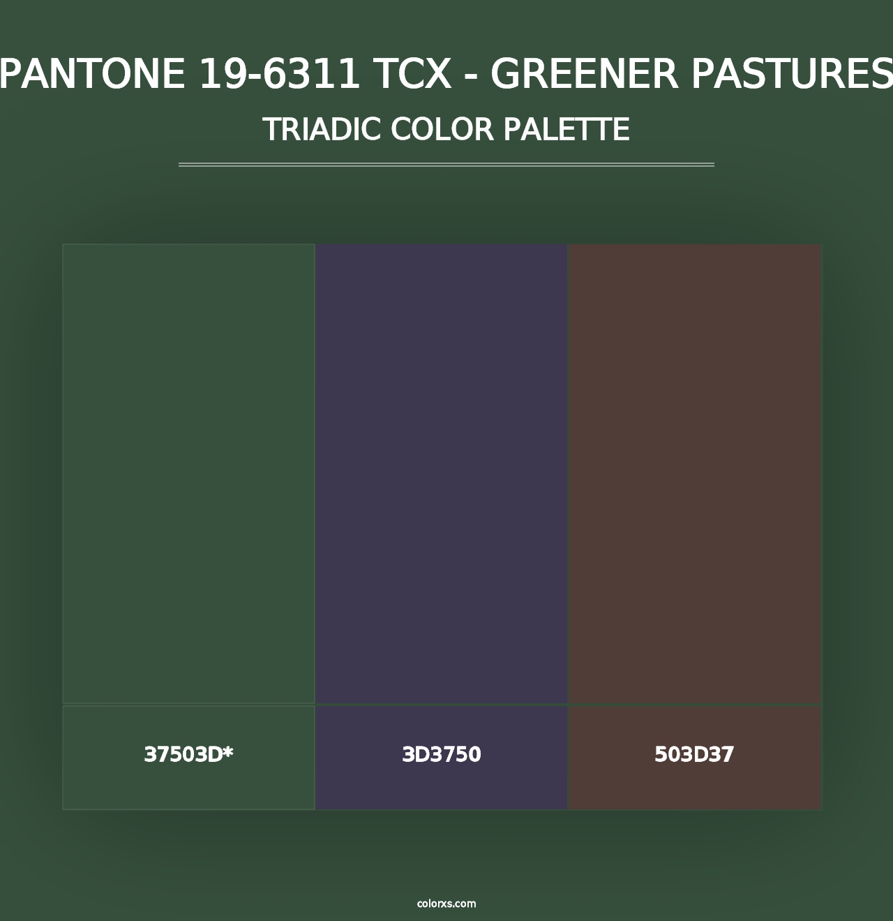 PANTONE 19-6311 TCX - Greener Pastures - Triadic Color Palette