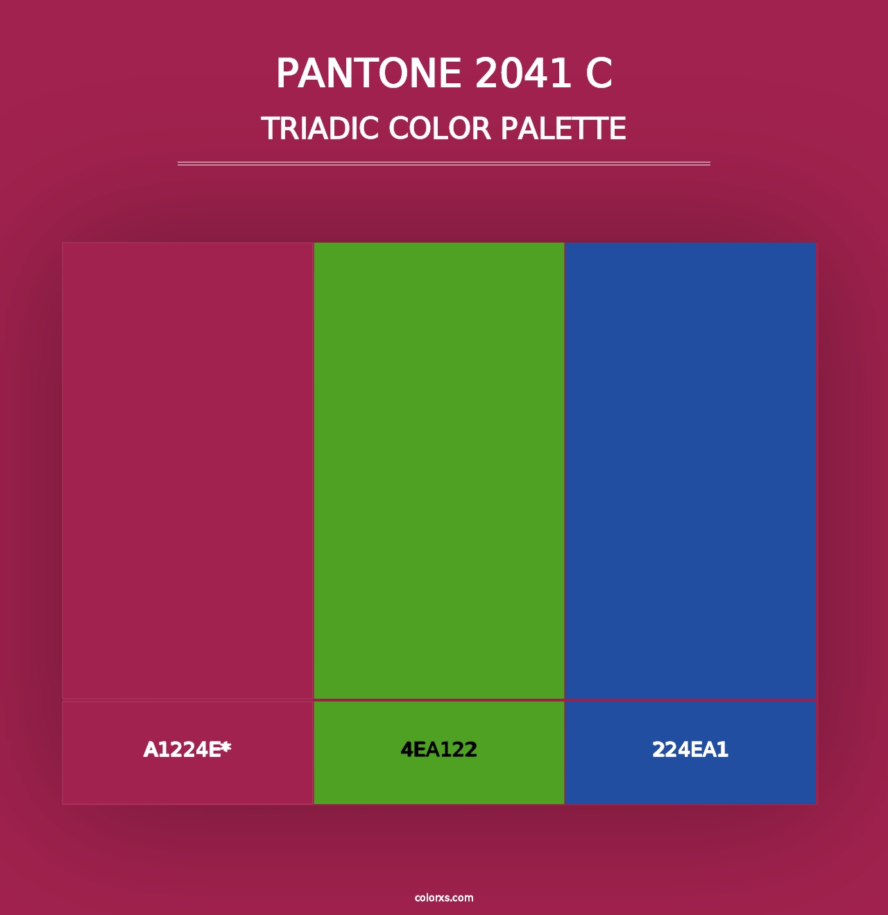 PANTONE 2041 C - Triadic Color Palette