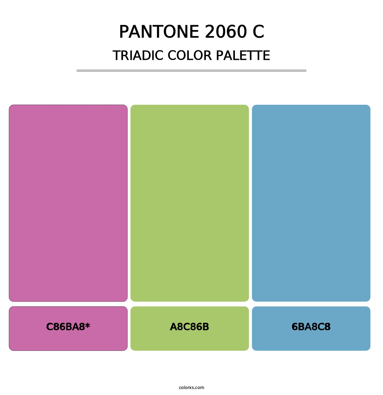 PANTONE 2060 C - Triadic Color Palette
