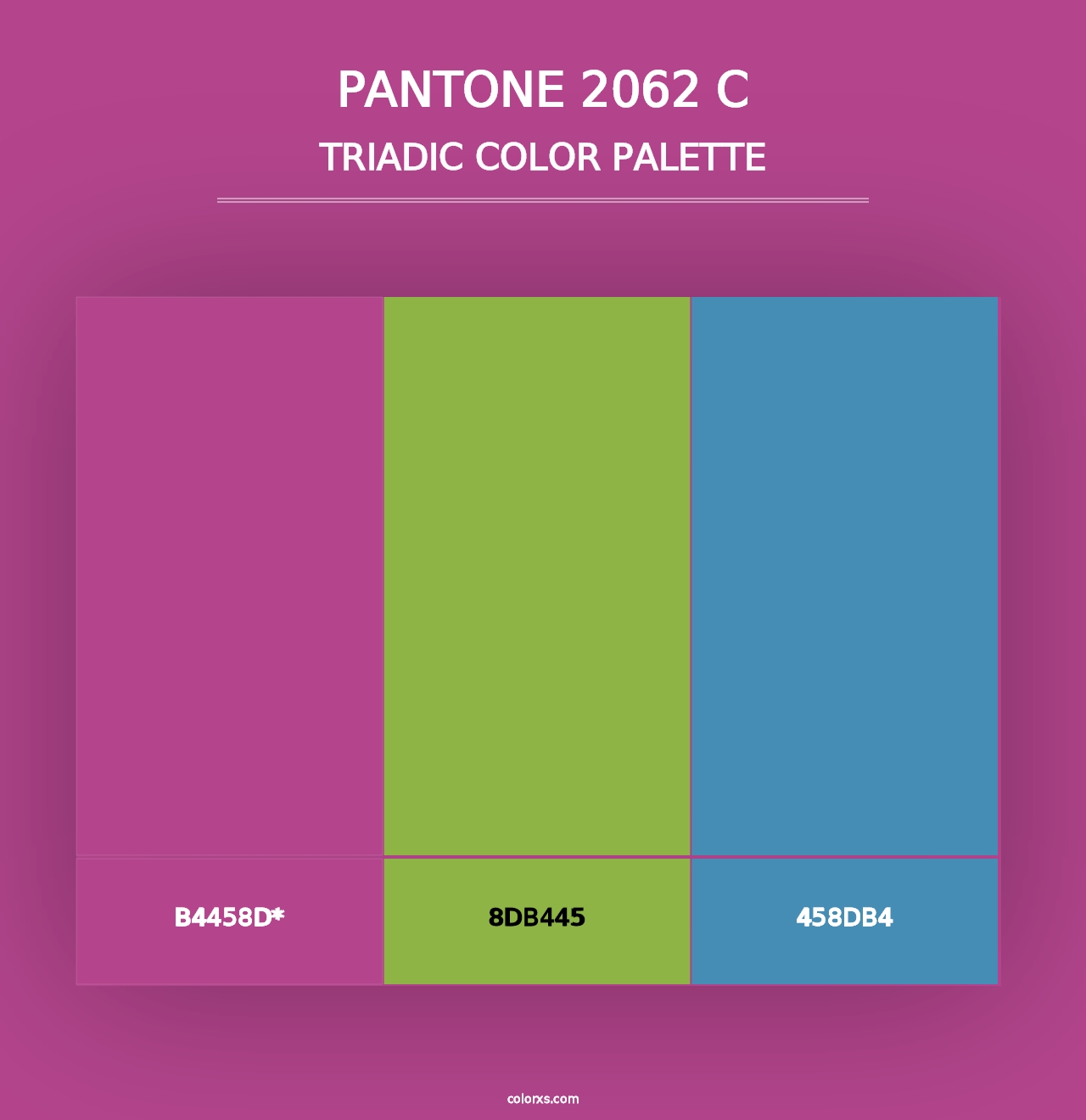 PANTONE 2062 C - Triadic Color Palette