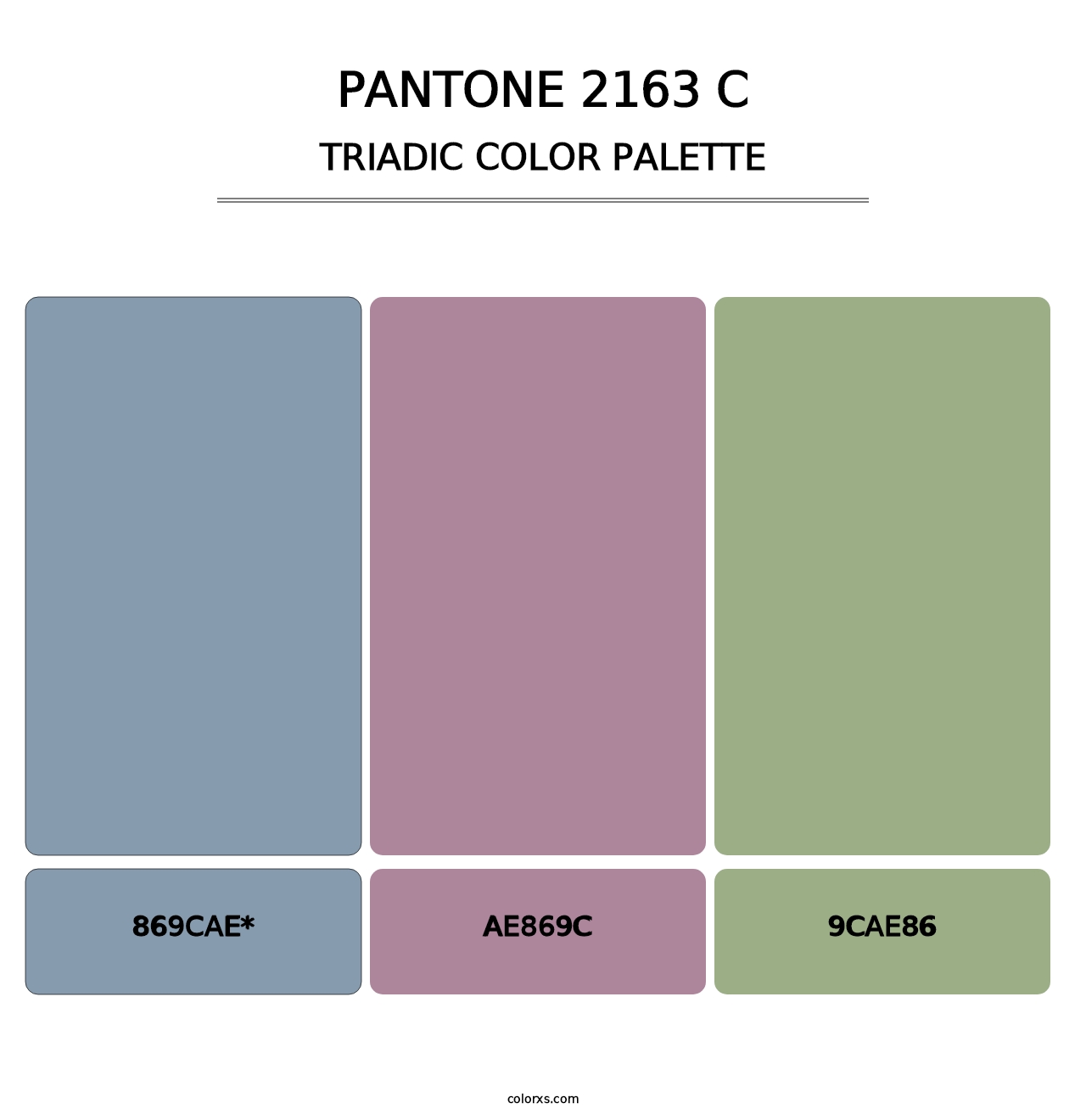 PANTONE 2163 C - Triadic Color Palette