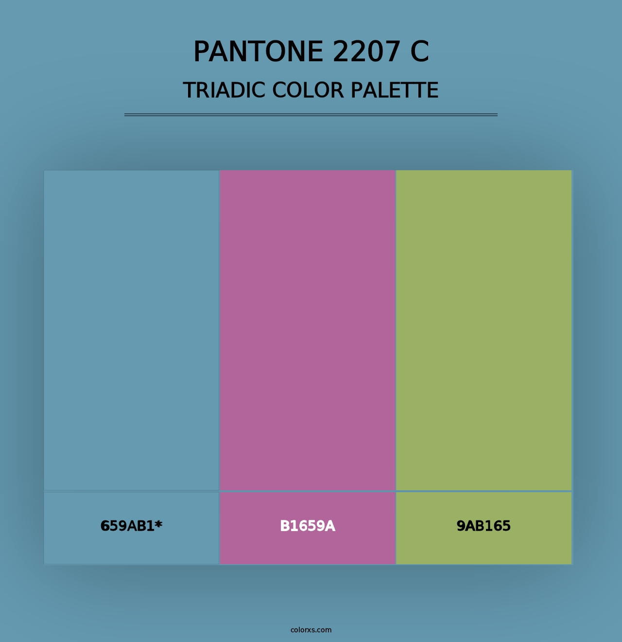 PANTONE 2207 C - Triadic Color Palette