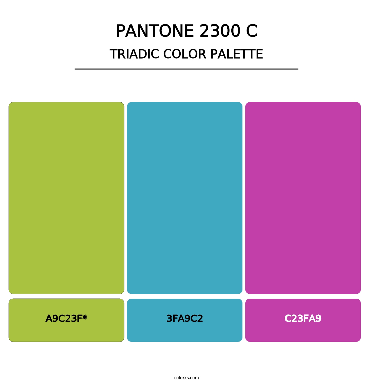 PANTONE 2300 C - Triadic Color Palette