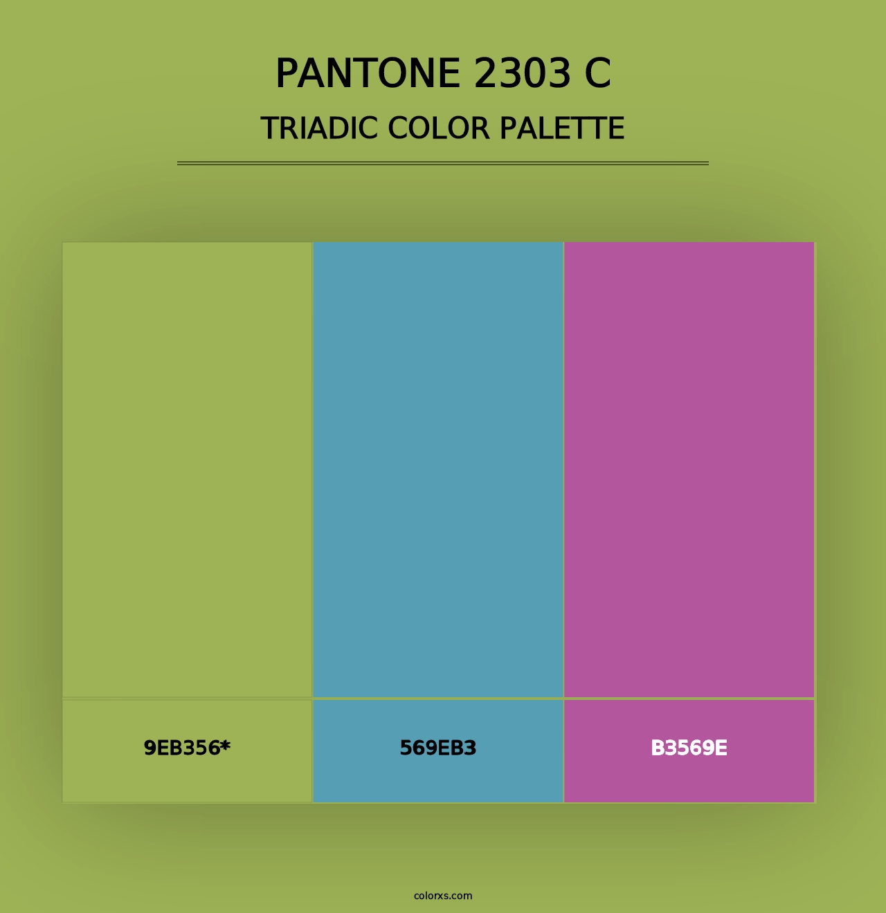 PANTONE 2303 C - Triadic Color Palette