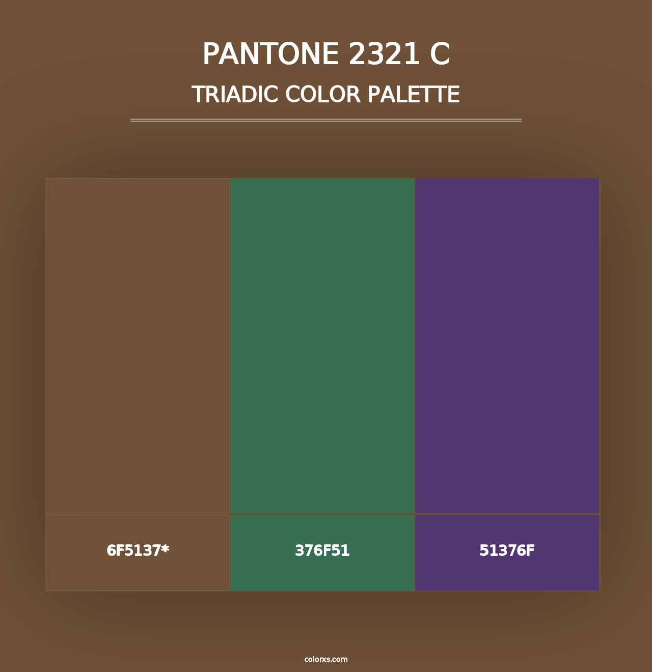 PANTONE 2321 C - Triadic Color Palette