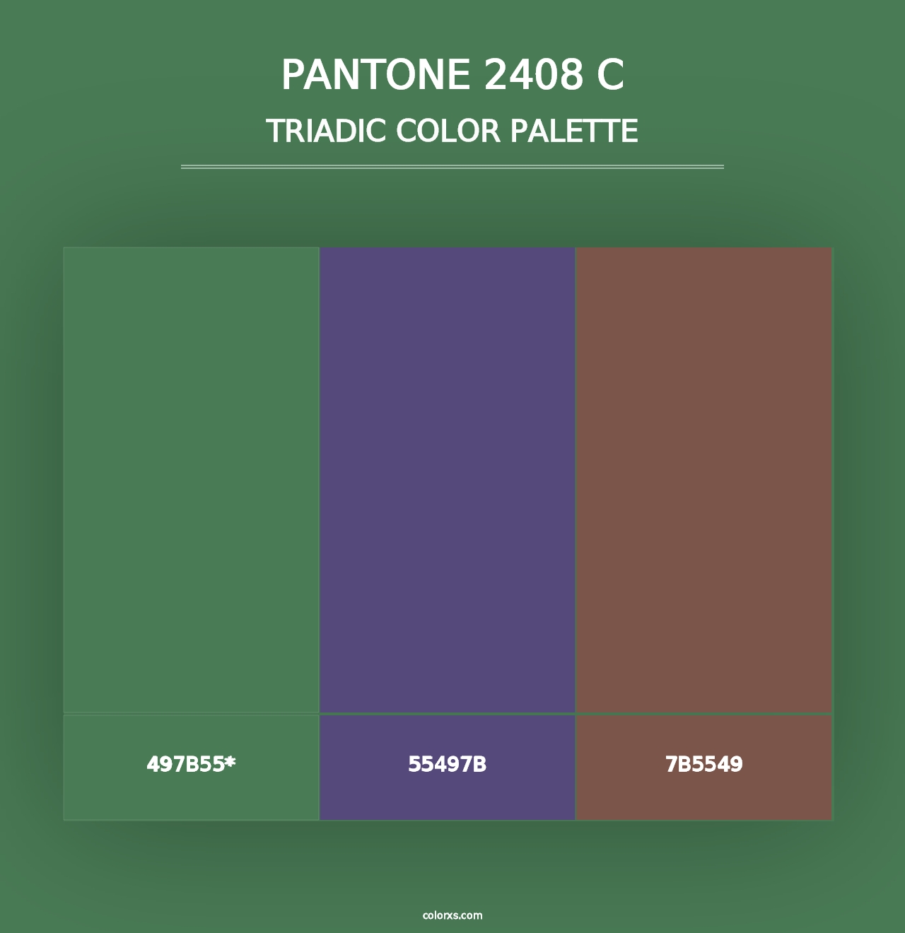 PANTONE 2408 C - Triadic Color Palette