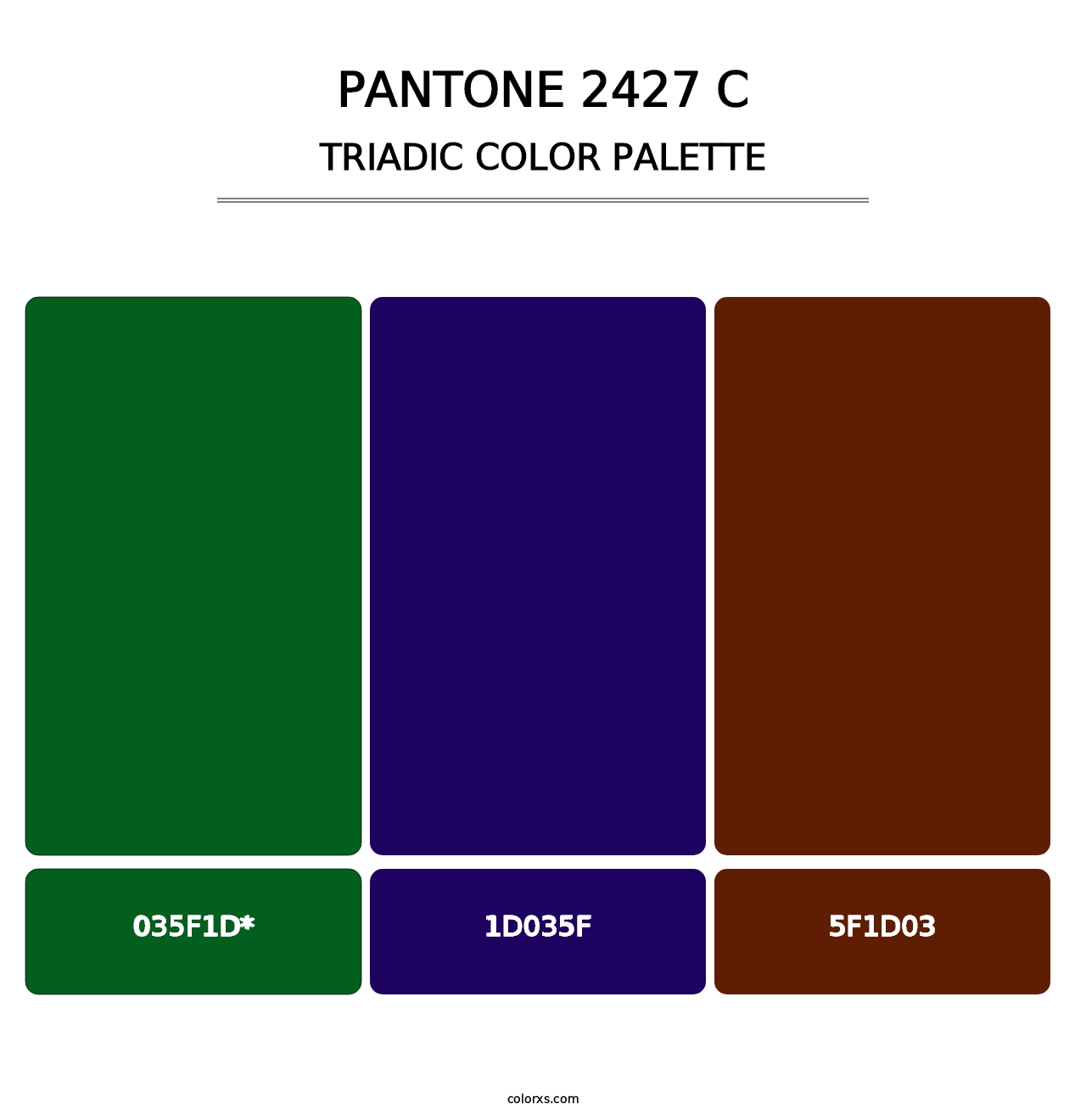 PANTONE 2427 C - Triadic Color Palette