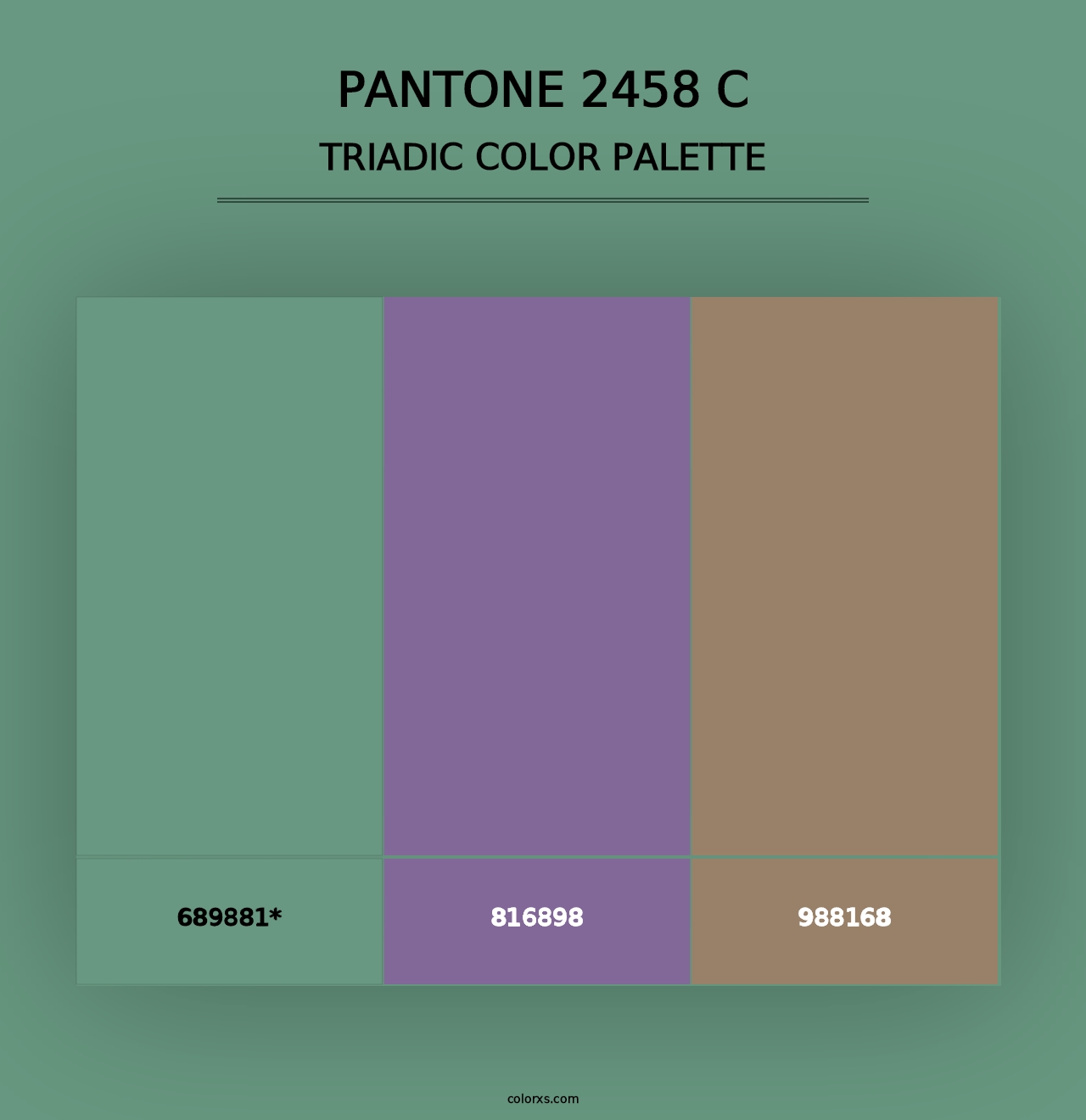 PANTONE 2458 C - Triadic Color Palette