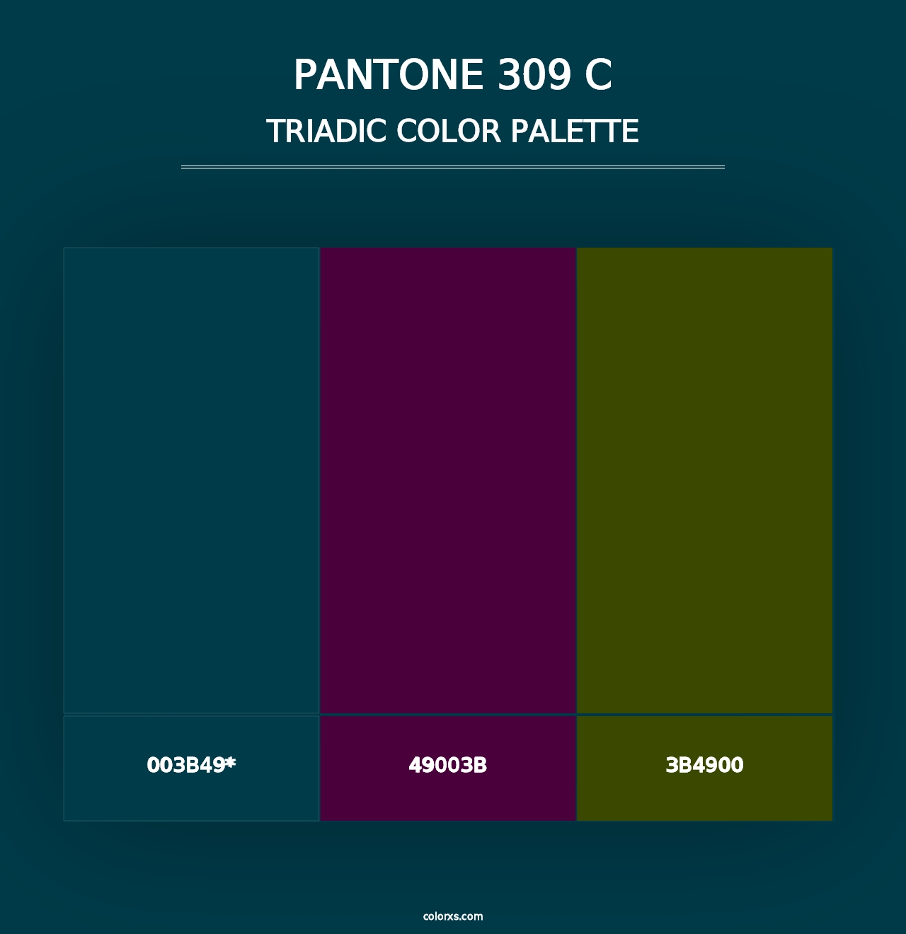 PANTONE 309 C - Triadic Color Palette