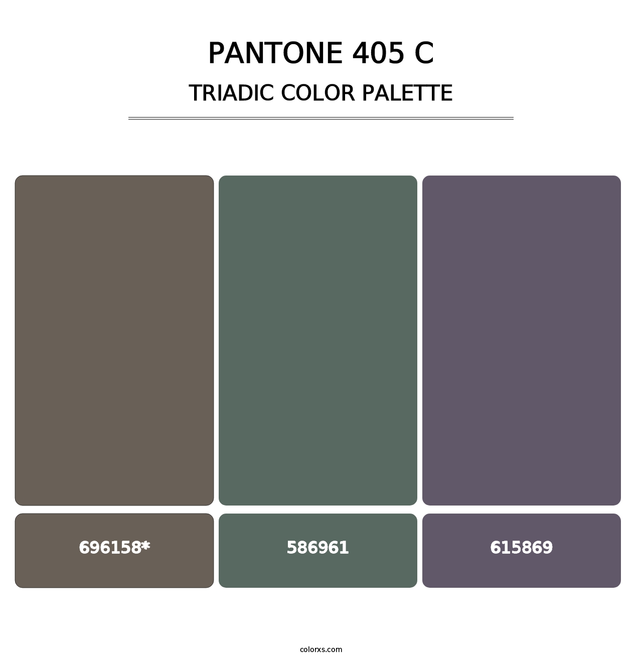 PANTONE 405 C - Triadic Color Palette