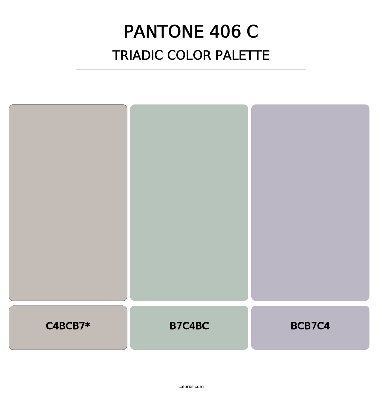 PANTONE 406 C - Triadic Color Palette