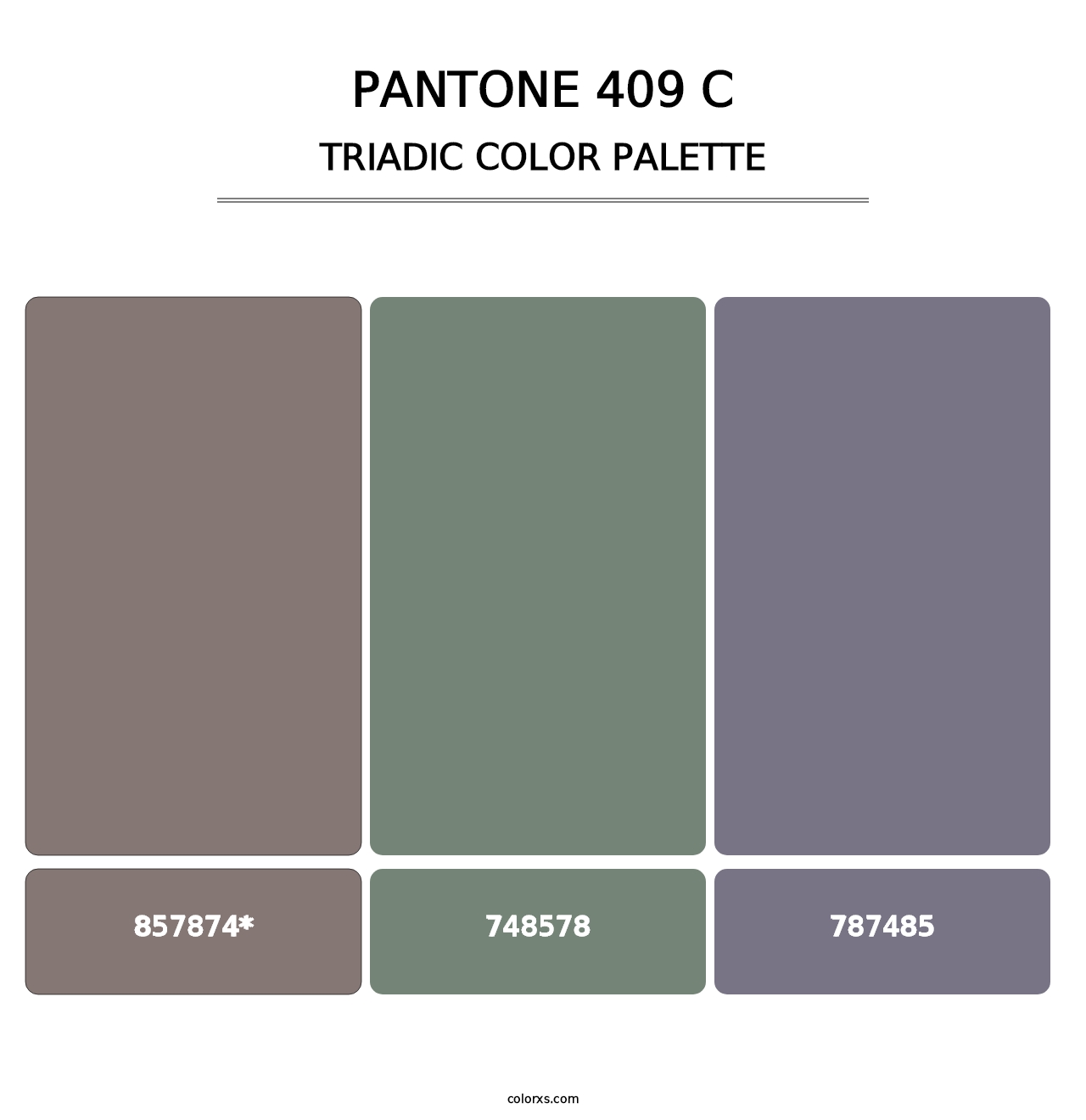 PANTONE 409 C - Triadic Color Palette