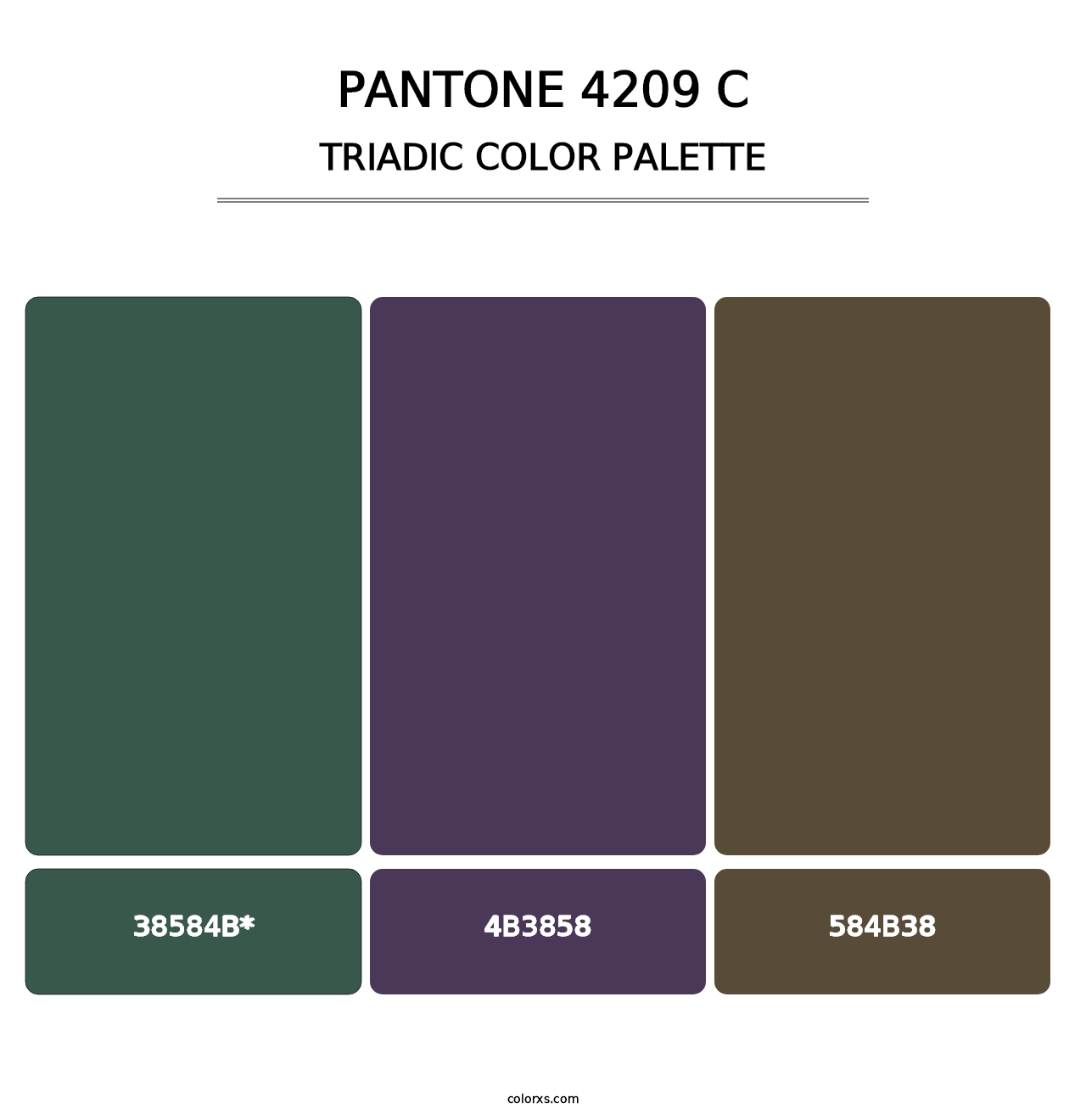 PANTONE 4209 C - Triadic Color Palette