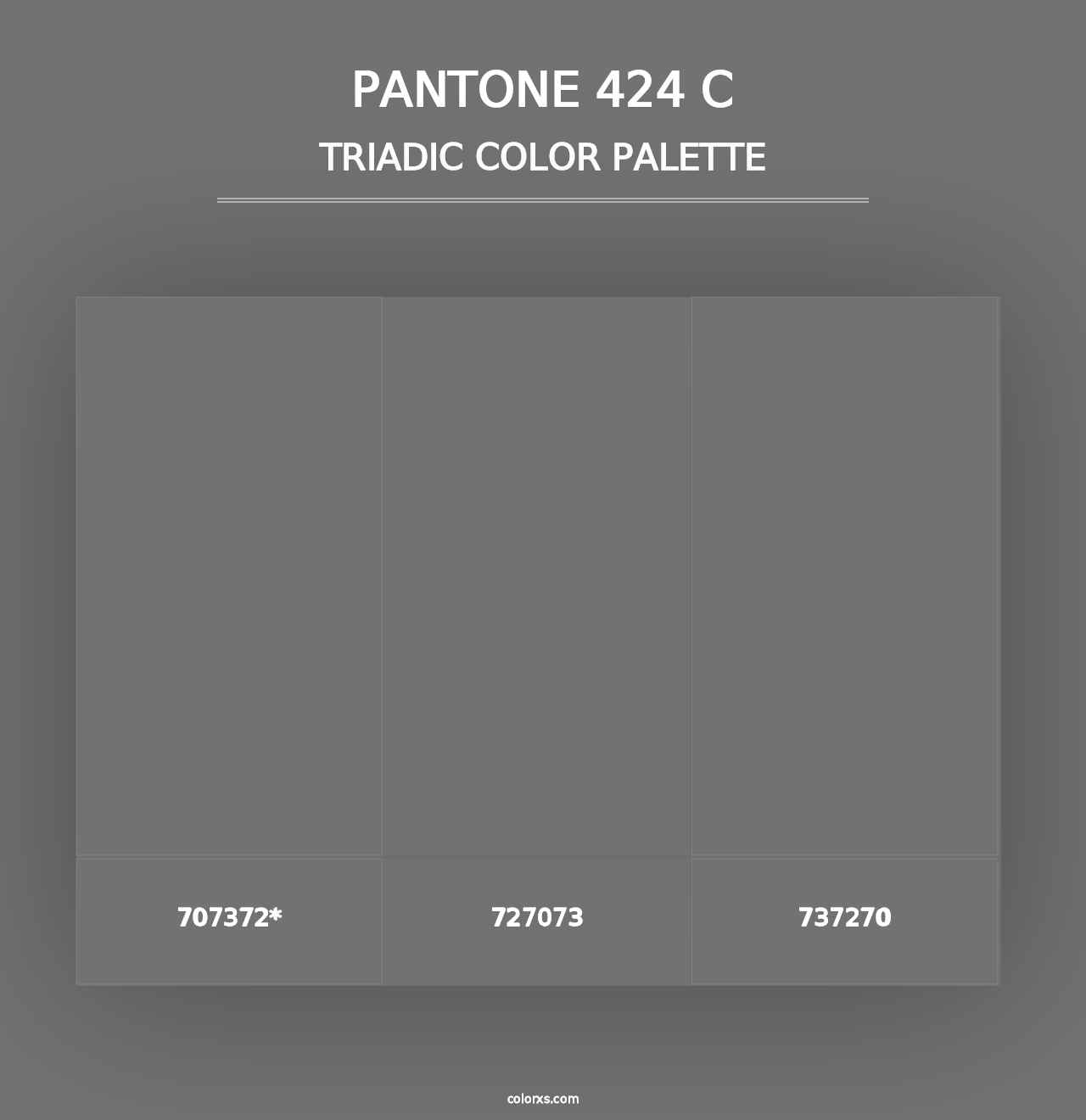 PANTONE 424 C - Triadic Color Palette