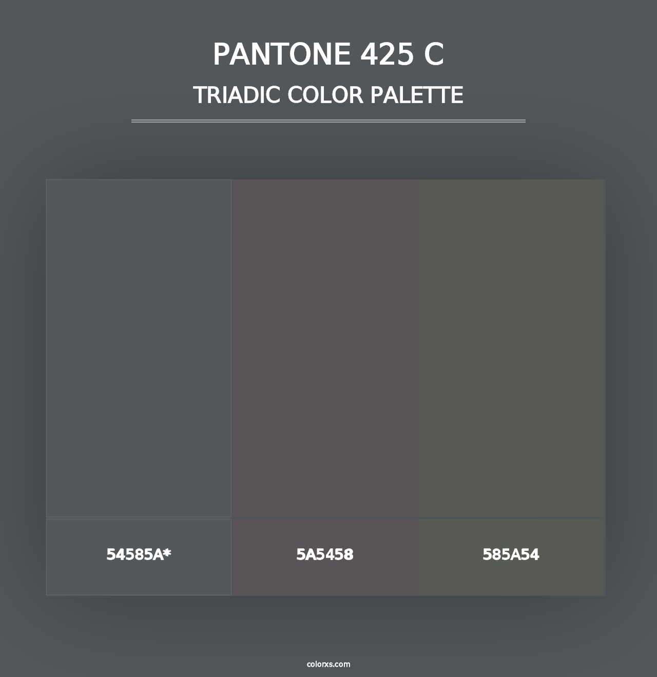 PANTONE 425 C - Triadic Color Palette