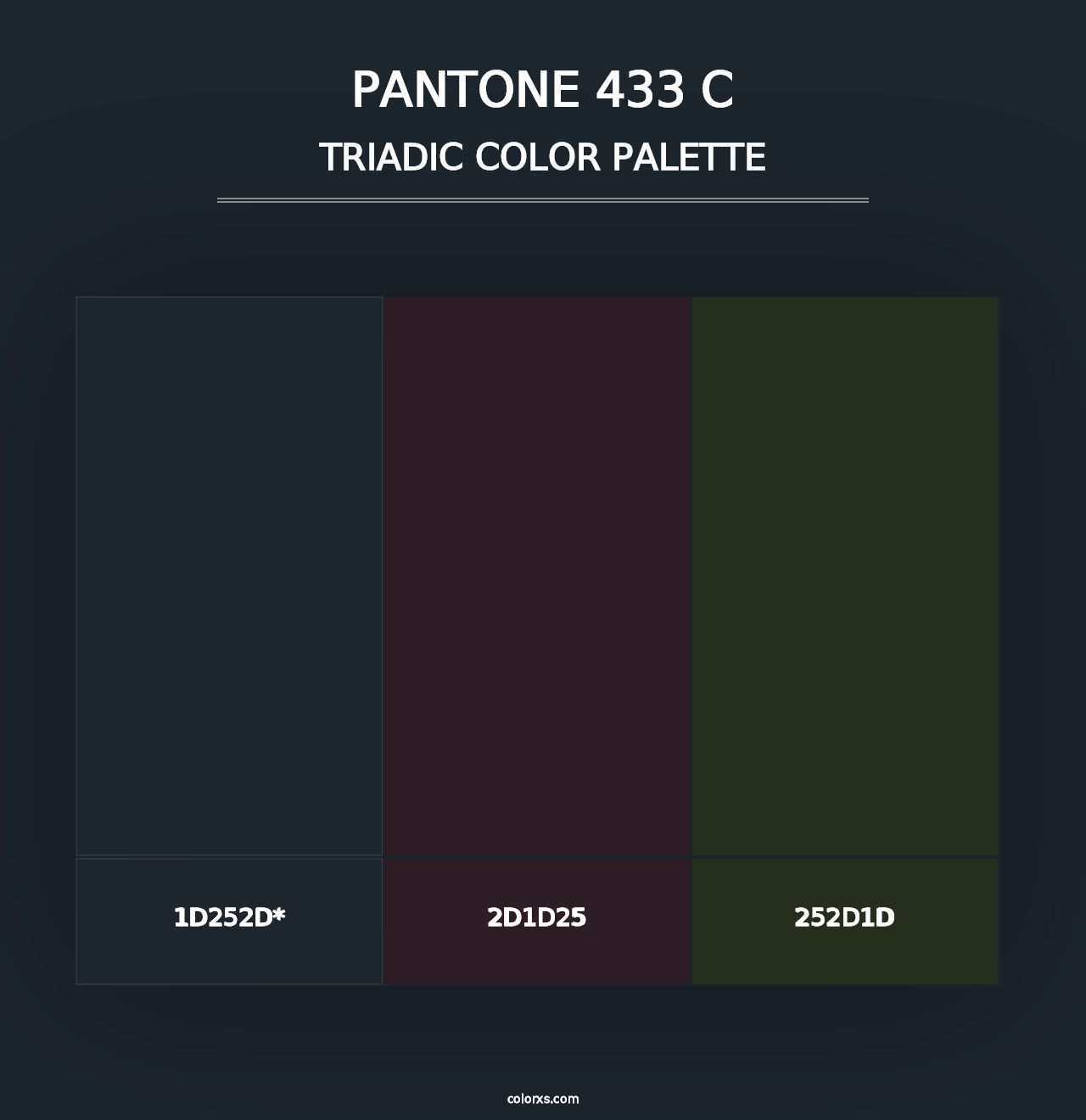 PANTONE 433 C - Triadic Color Palette