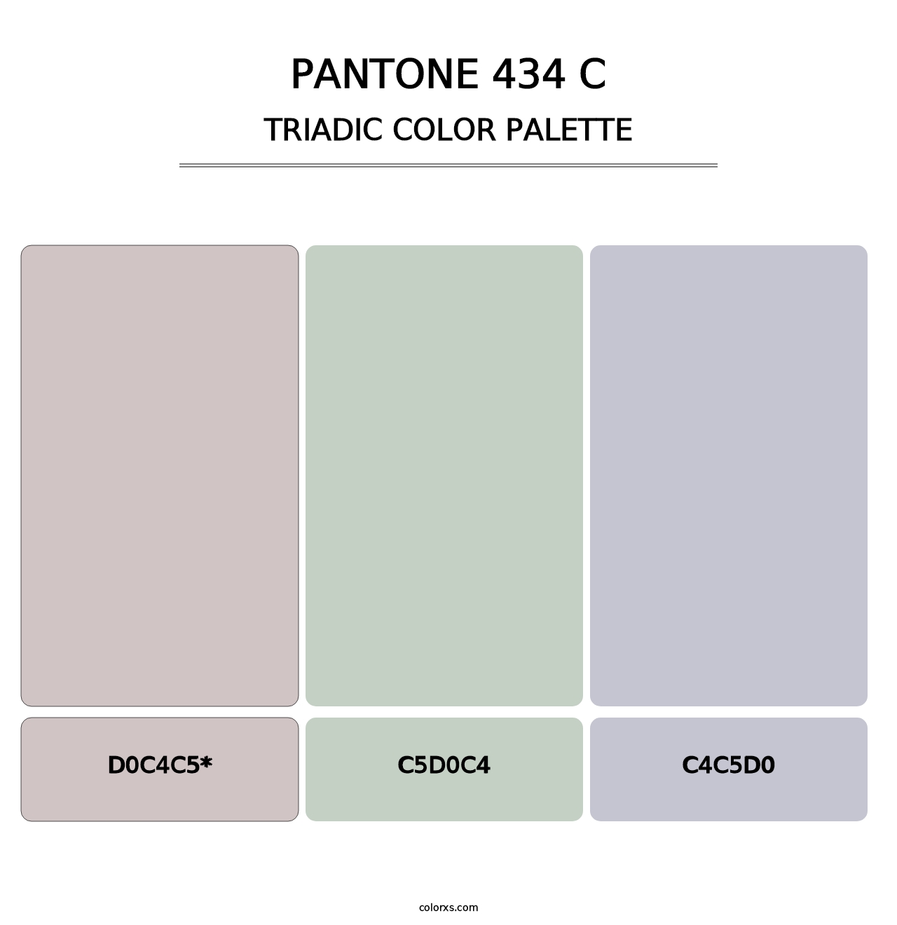 PANTONE 434 C - Triadic Color Palette