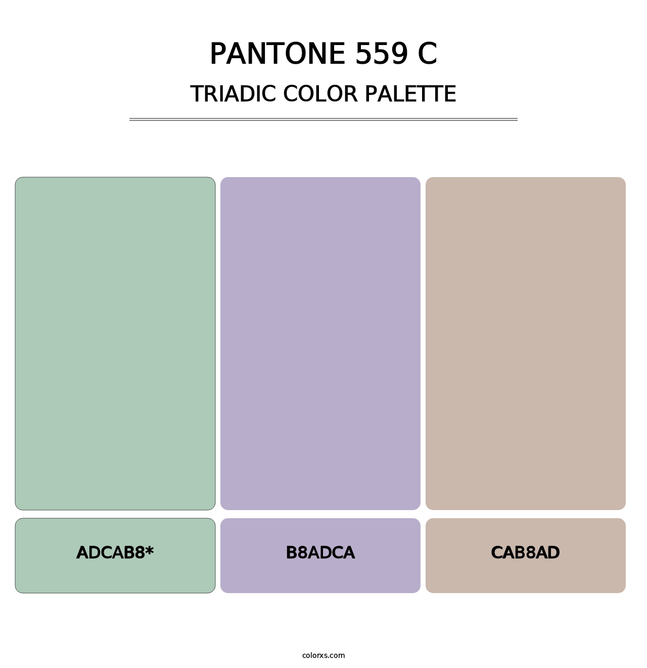 PANTONE 559 C - Triadic Color Palette