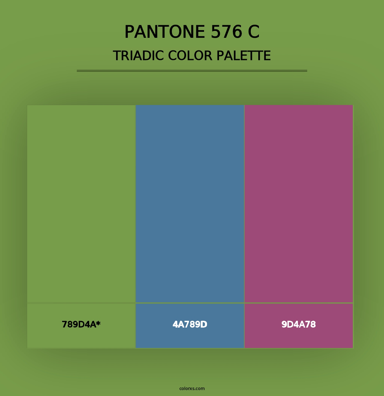 PANTONE 576 C - Triadic Color Palette