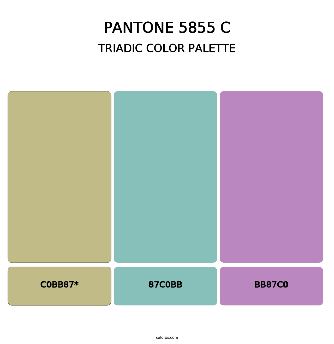 PANTONE 5855 C - Triadic Color Palette