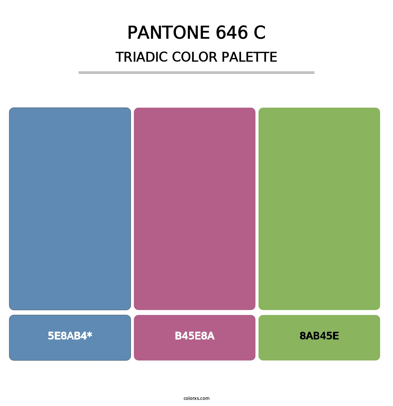 PANTONE 646 C - Triadic Color Palette