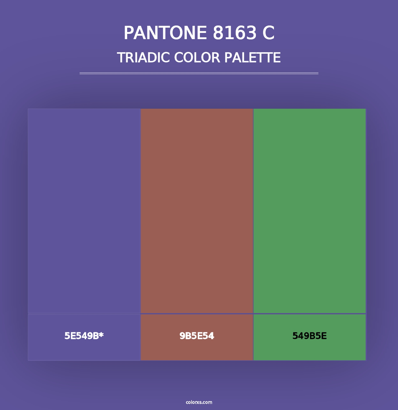 PANTONE 8163 C - Triadic Color Palette