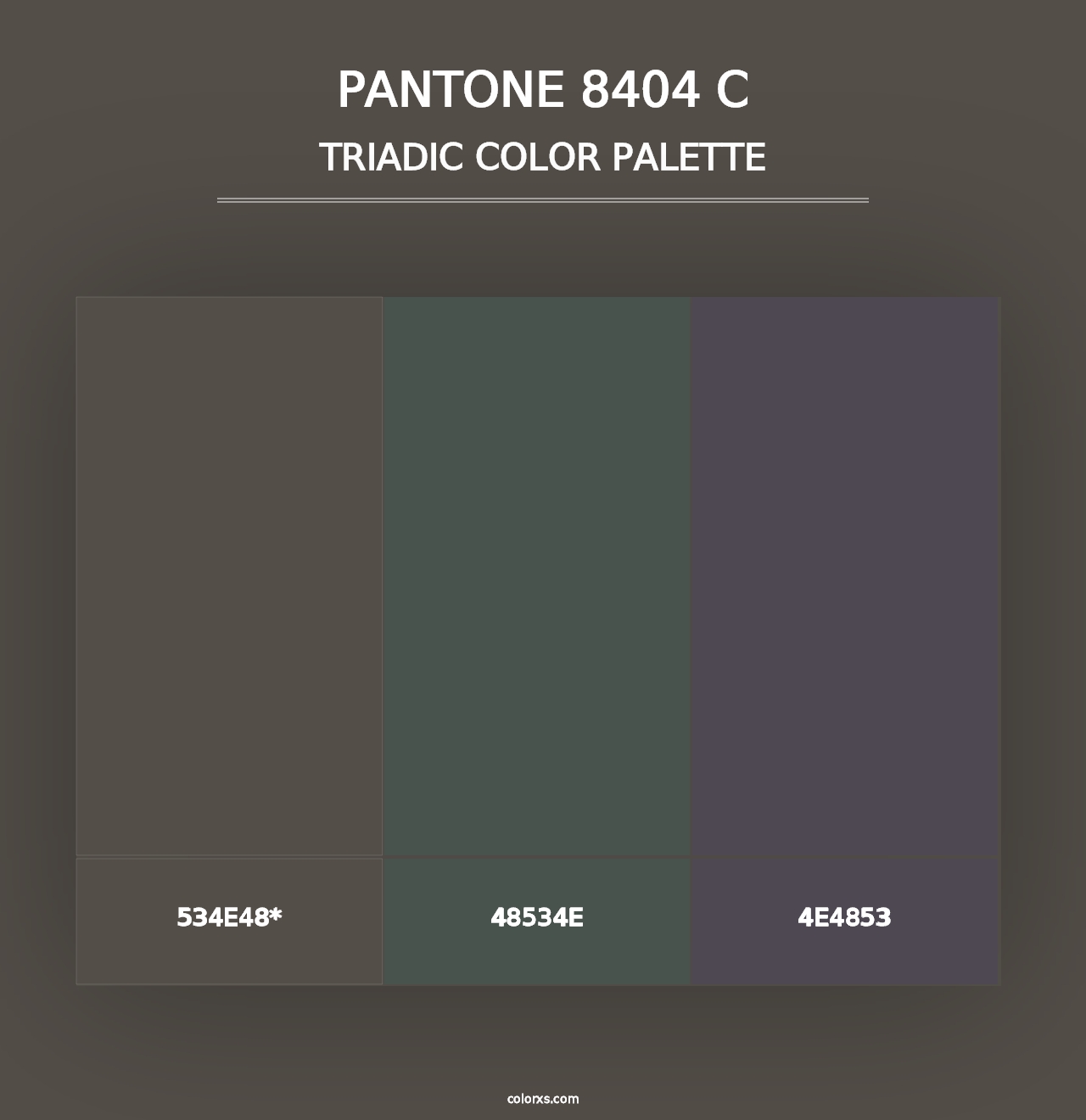 PANTONE 8404 C - Triadic Color Palette