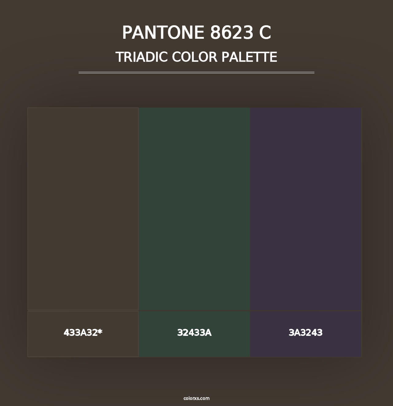 PANTONE 8623 C - Triadic Color Palette