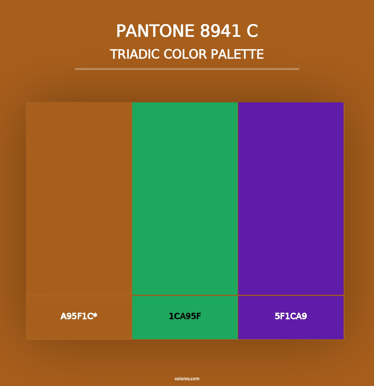 PANTONE 8941 C - Triadic Color Palette