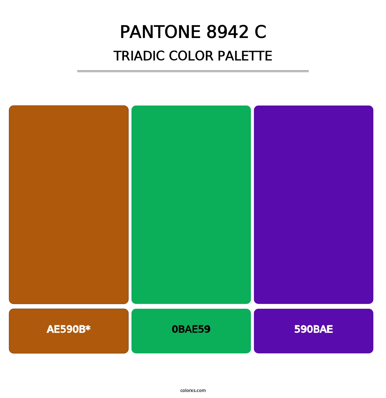 PANTONE 8942 C - Triadic Color Palette