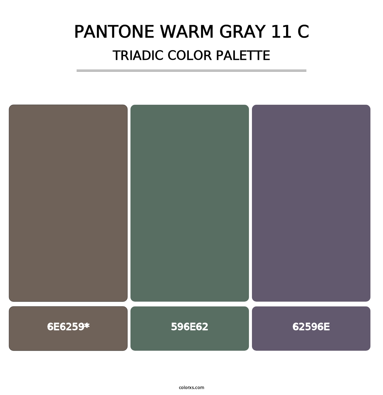 PANTONE Warm Gray 11 C - Triadic Color Palette