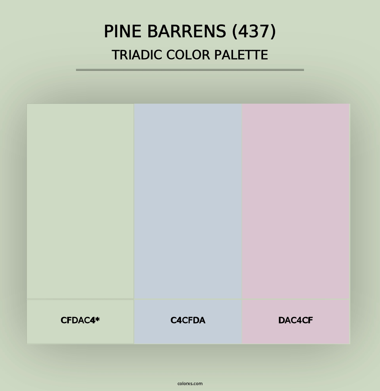 Pine Barrens (437) - Triadic Color Palette